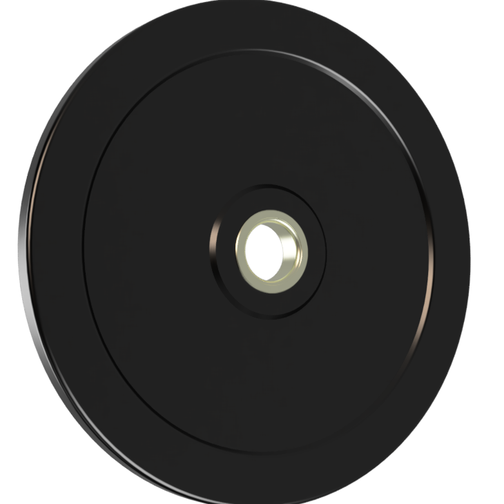 RP-10 - 10# BUMPER PLATE