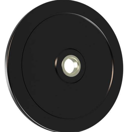 RP-10 - 10# BUMPER PLATE